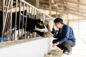 三重県・愛知県にて畜産会社様のホームページ用の出張写真撮影を行いました（名古屋市・東浦町・松坂市・桑名郡）